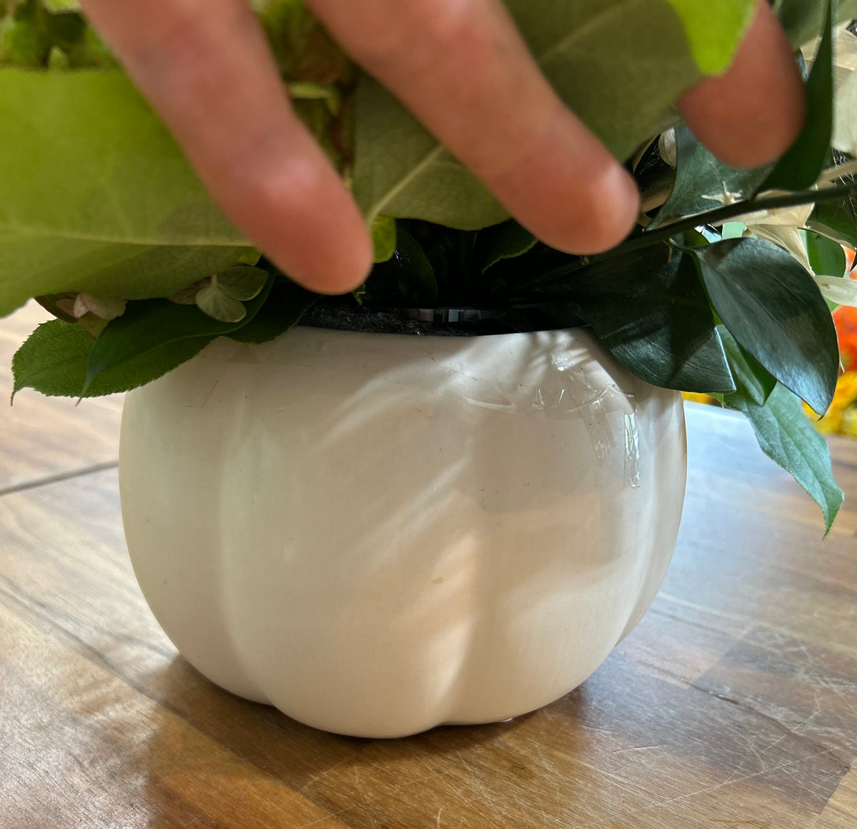 Everything’s Coming up Pumpkins