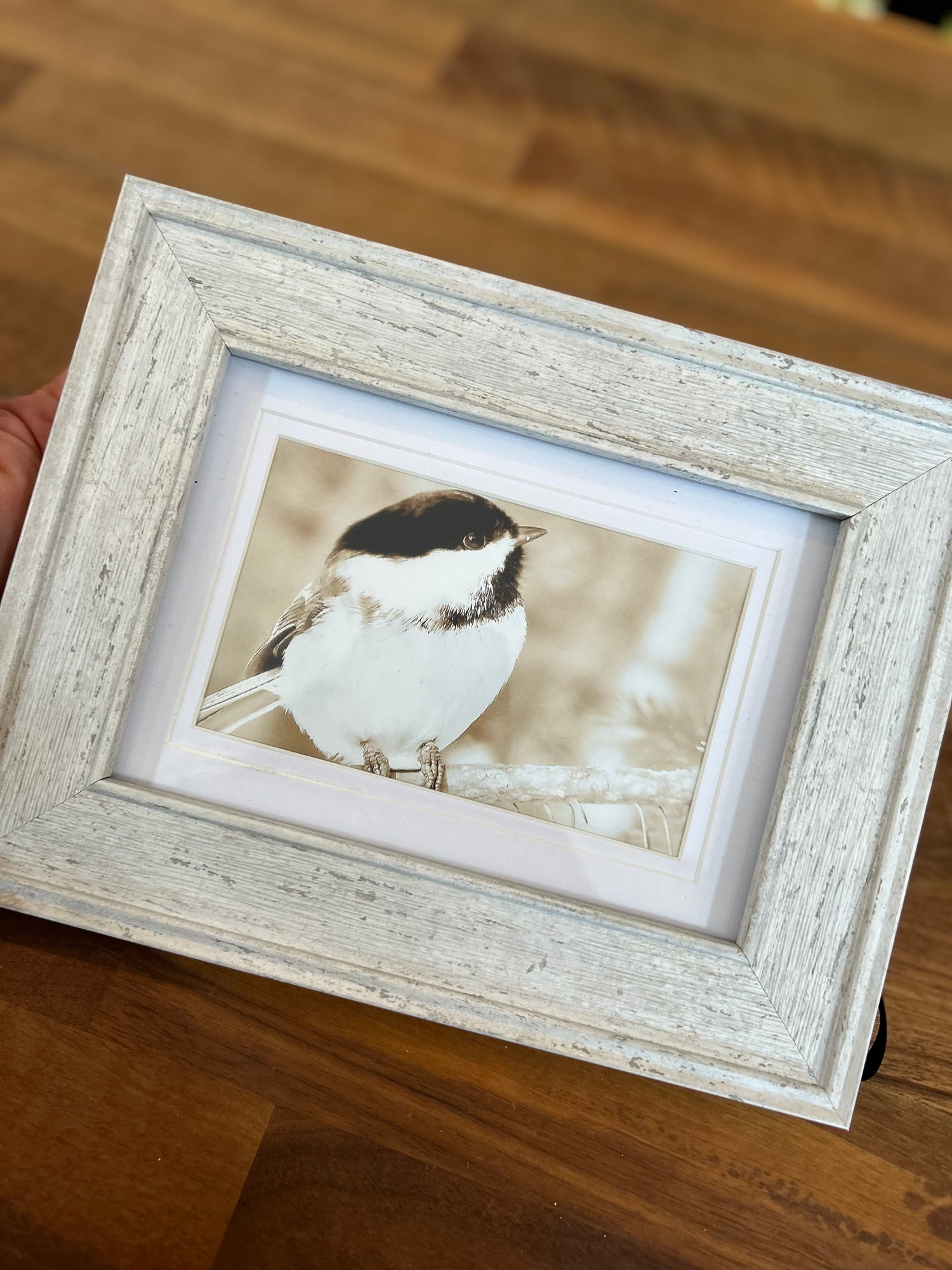 Small Framed Photographs by Patti Parker