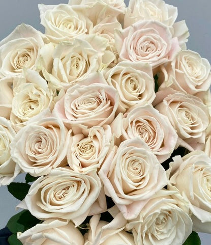 Dozen Roses “Classic”