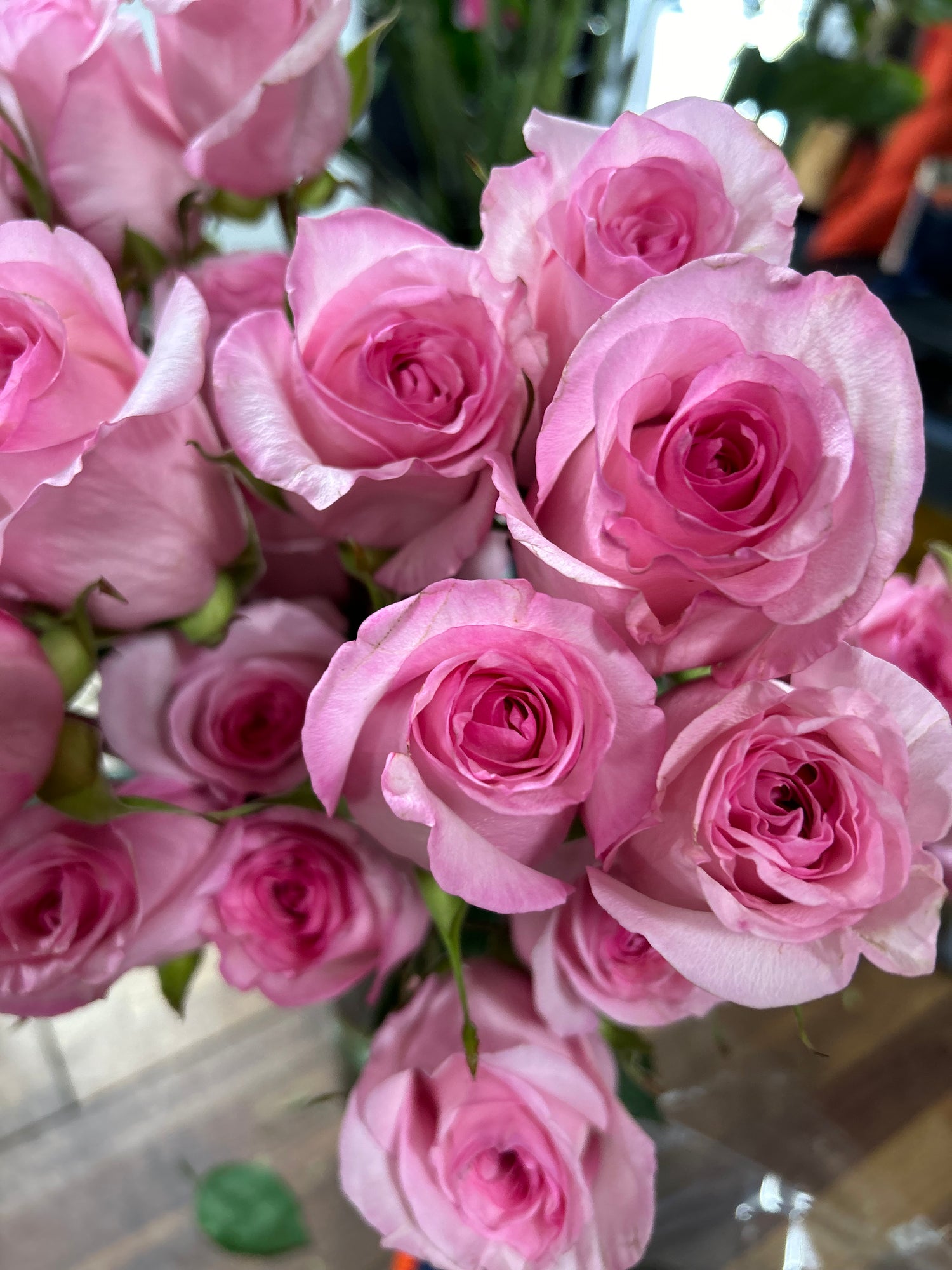 18 Roses Arranged in a Vase