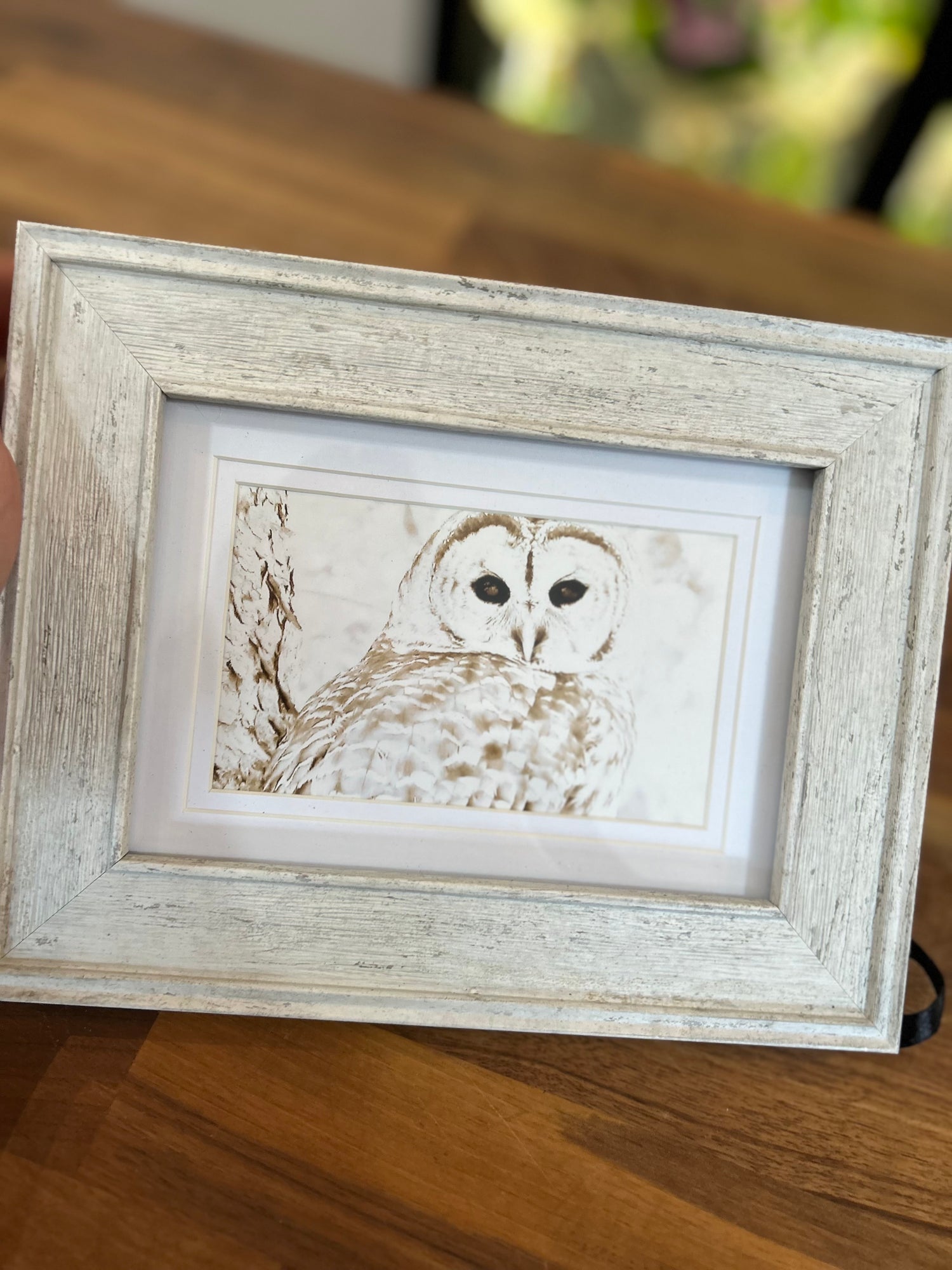 Small Framed Photographs by Patti Parker