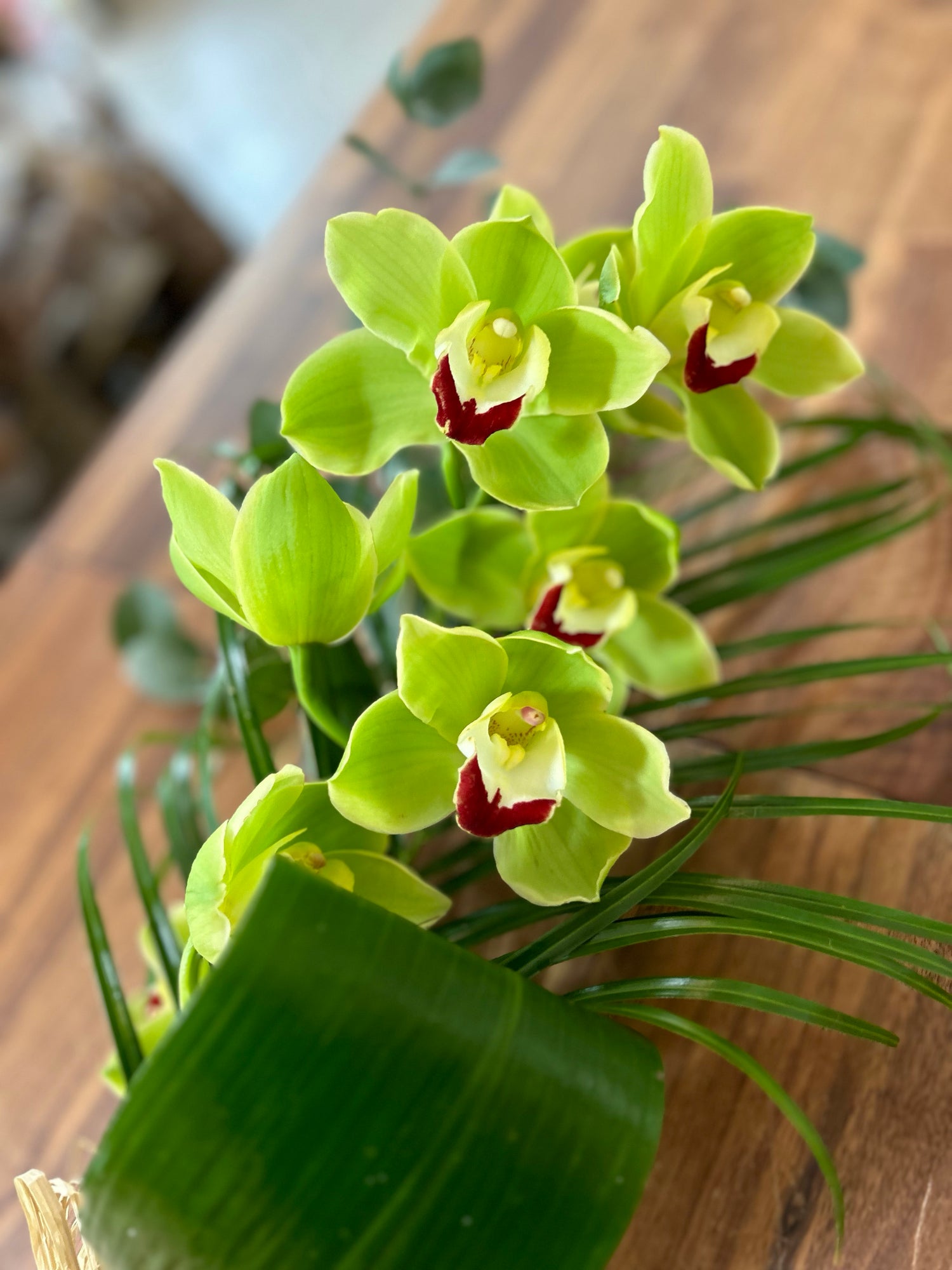 Fresh Cymbidium Orchid Flower