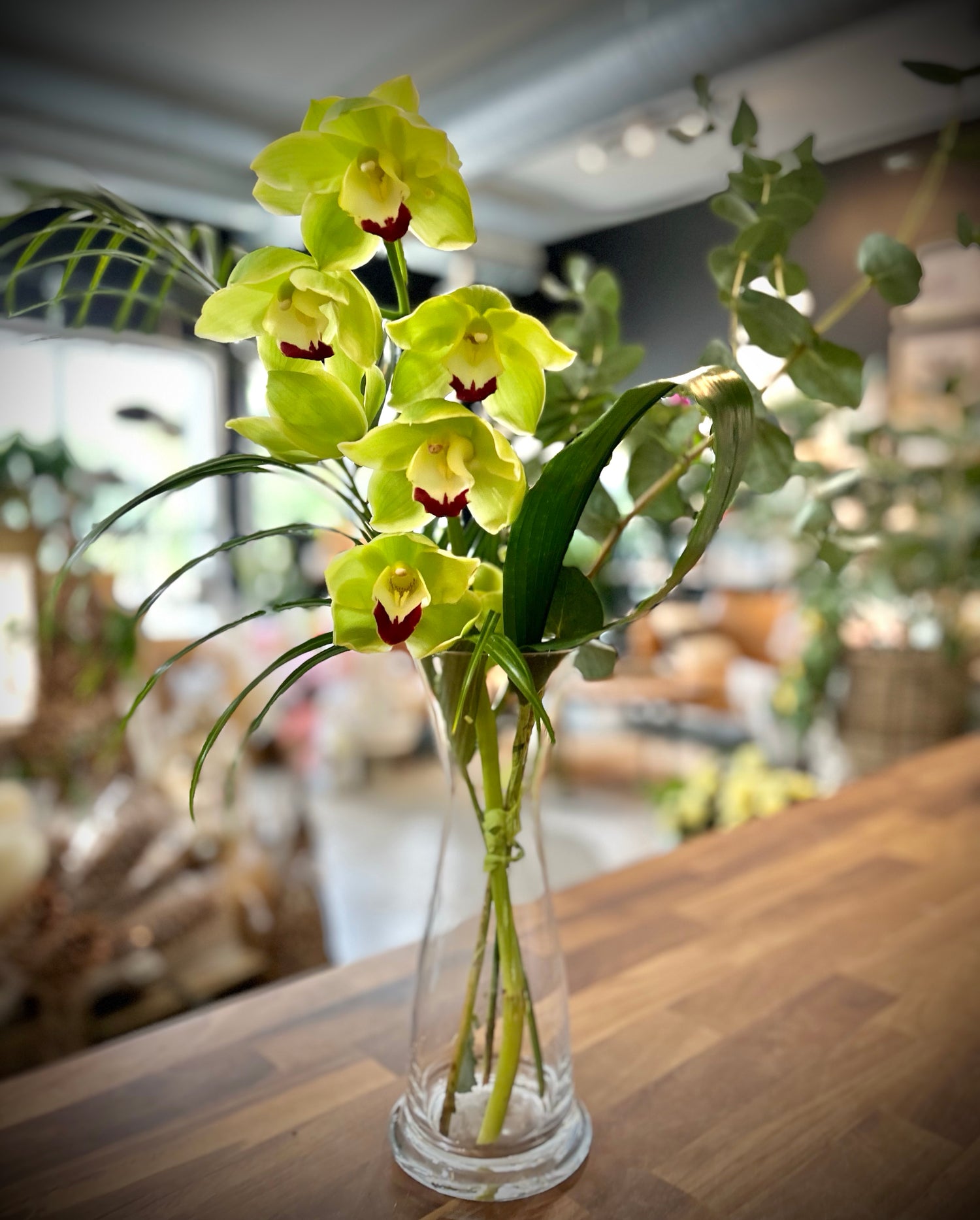 Fresh Cymbidium Orchid Flower