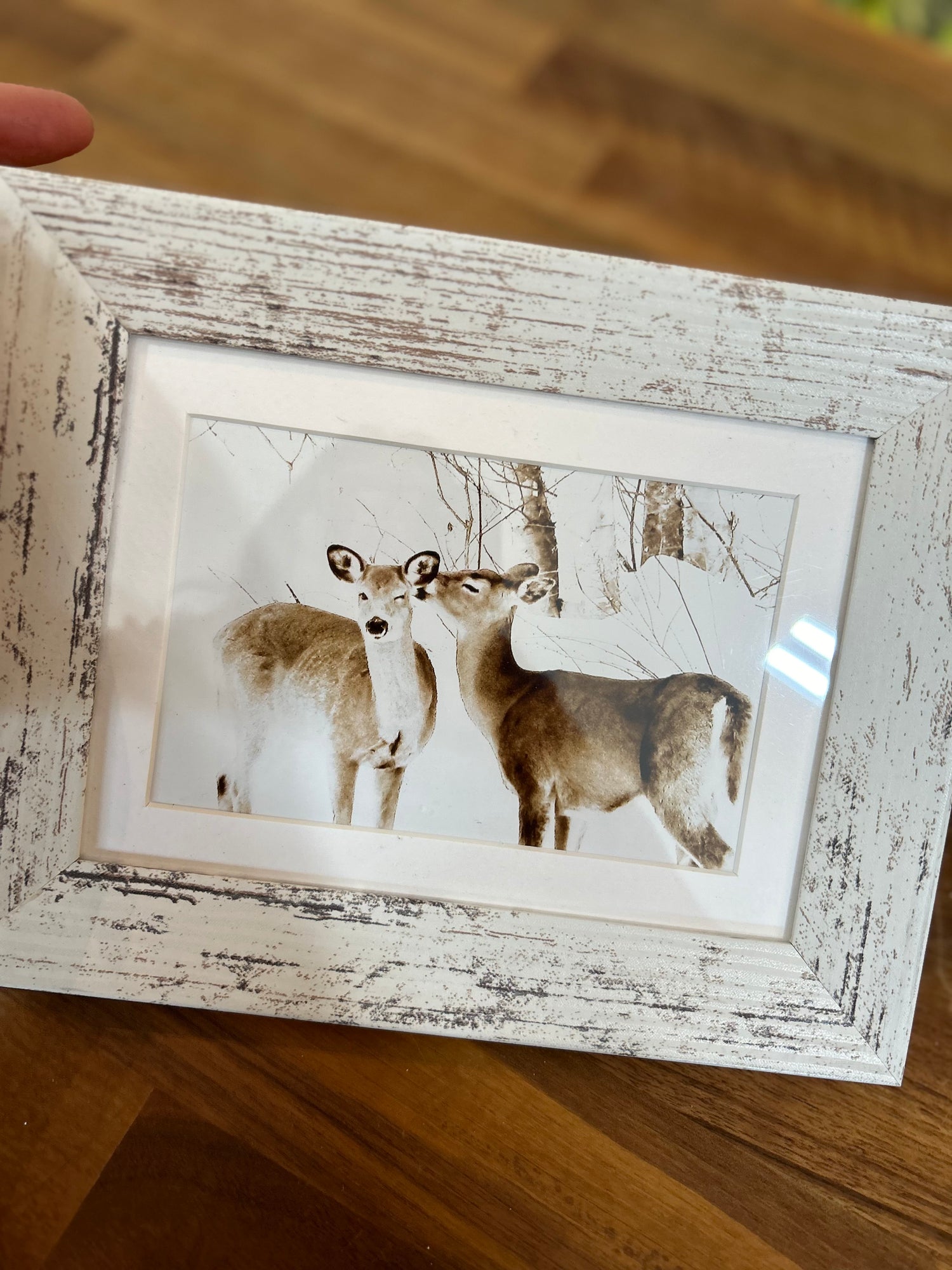 Small Framed Photographs by Patti Parker