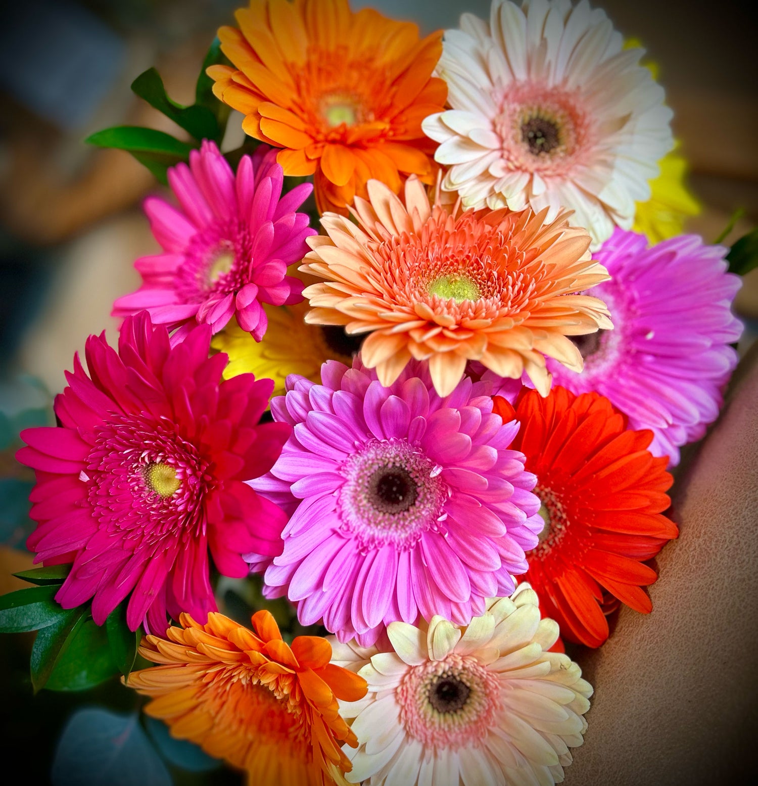 Happy Gerberas Cut Bouquet