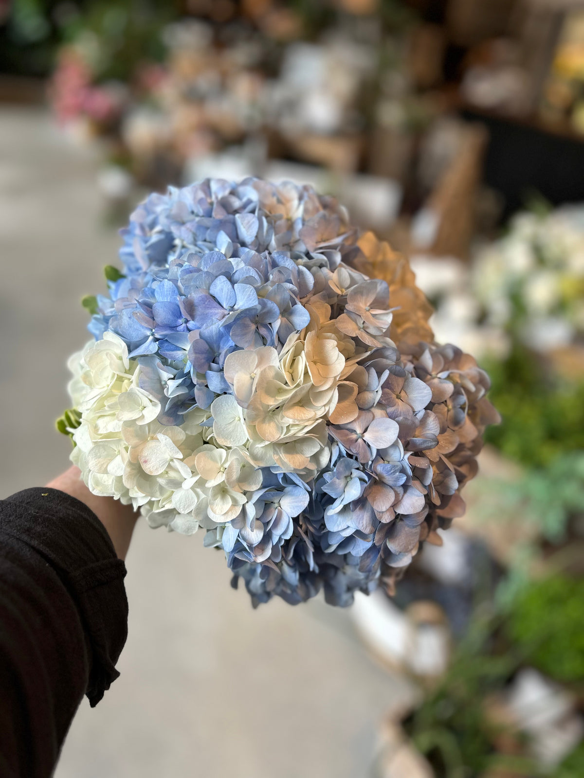 Wedding: Bridal Bouquet