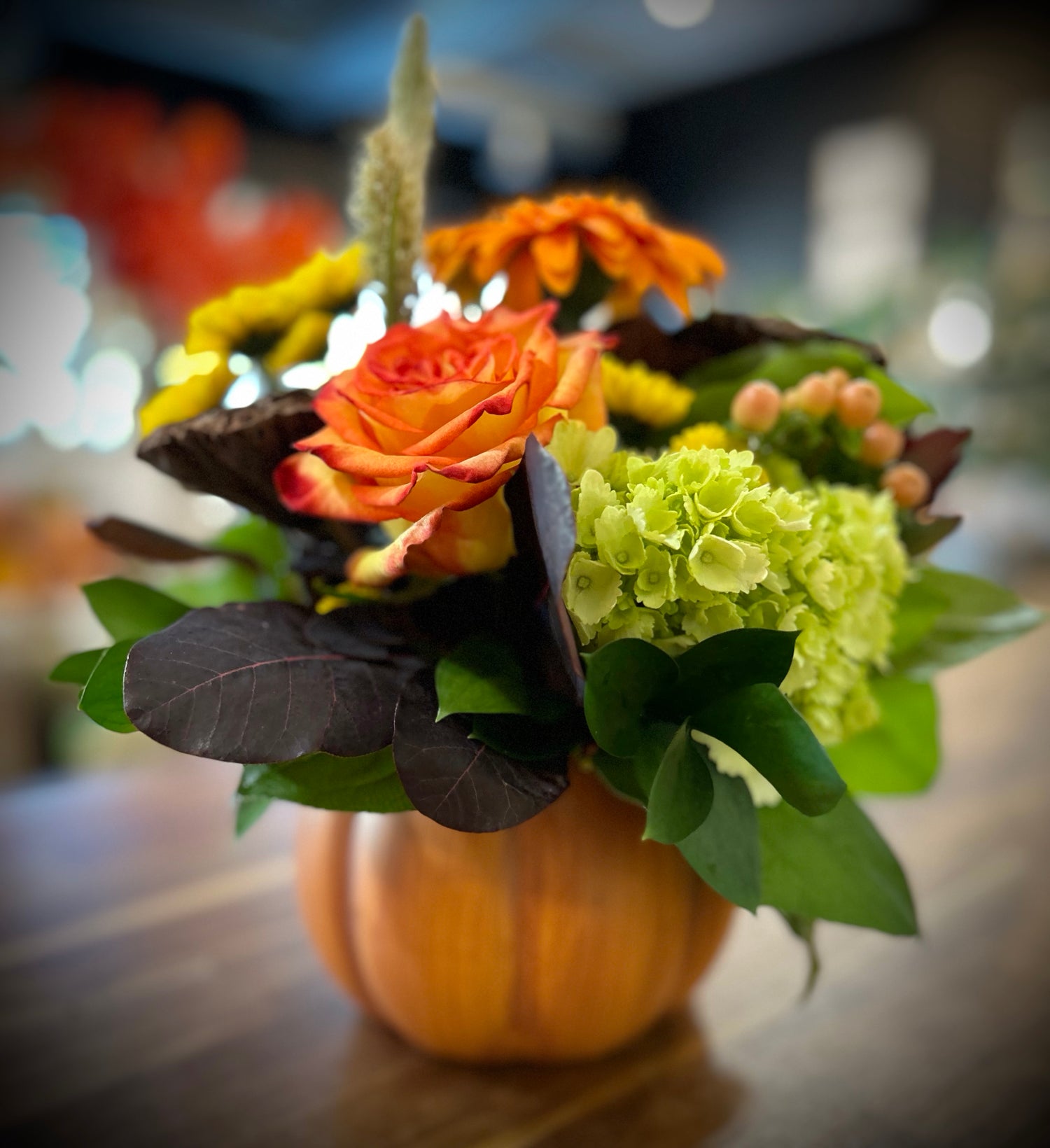 Everything’s Coming up Pumpkins