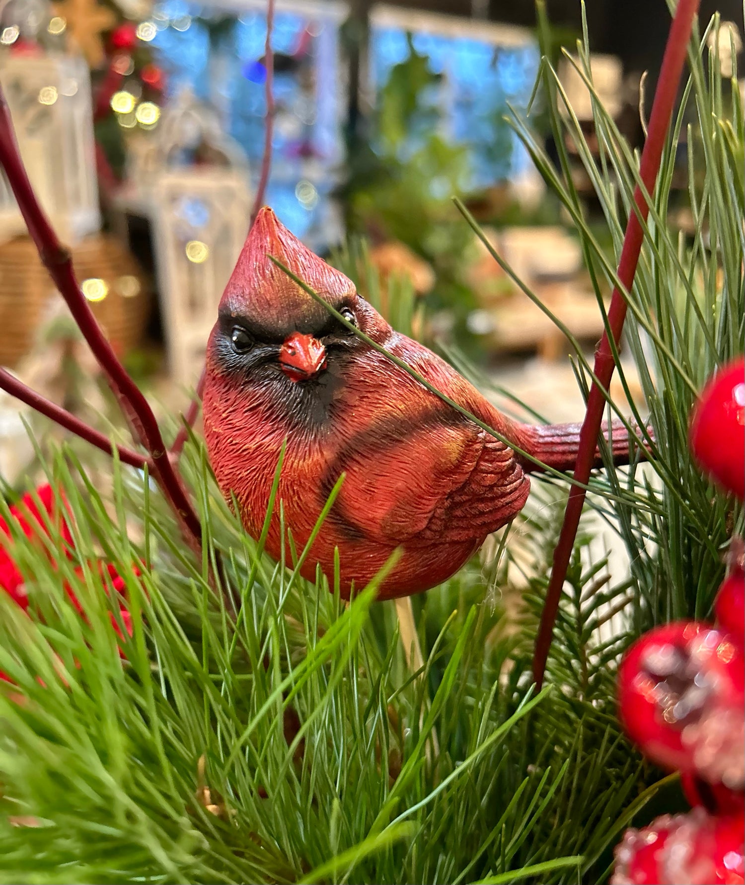 Cardinal in the Woods Fresh Arrangement