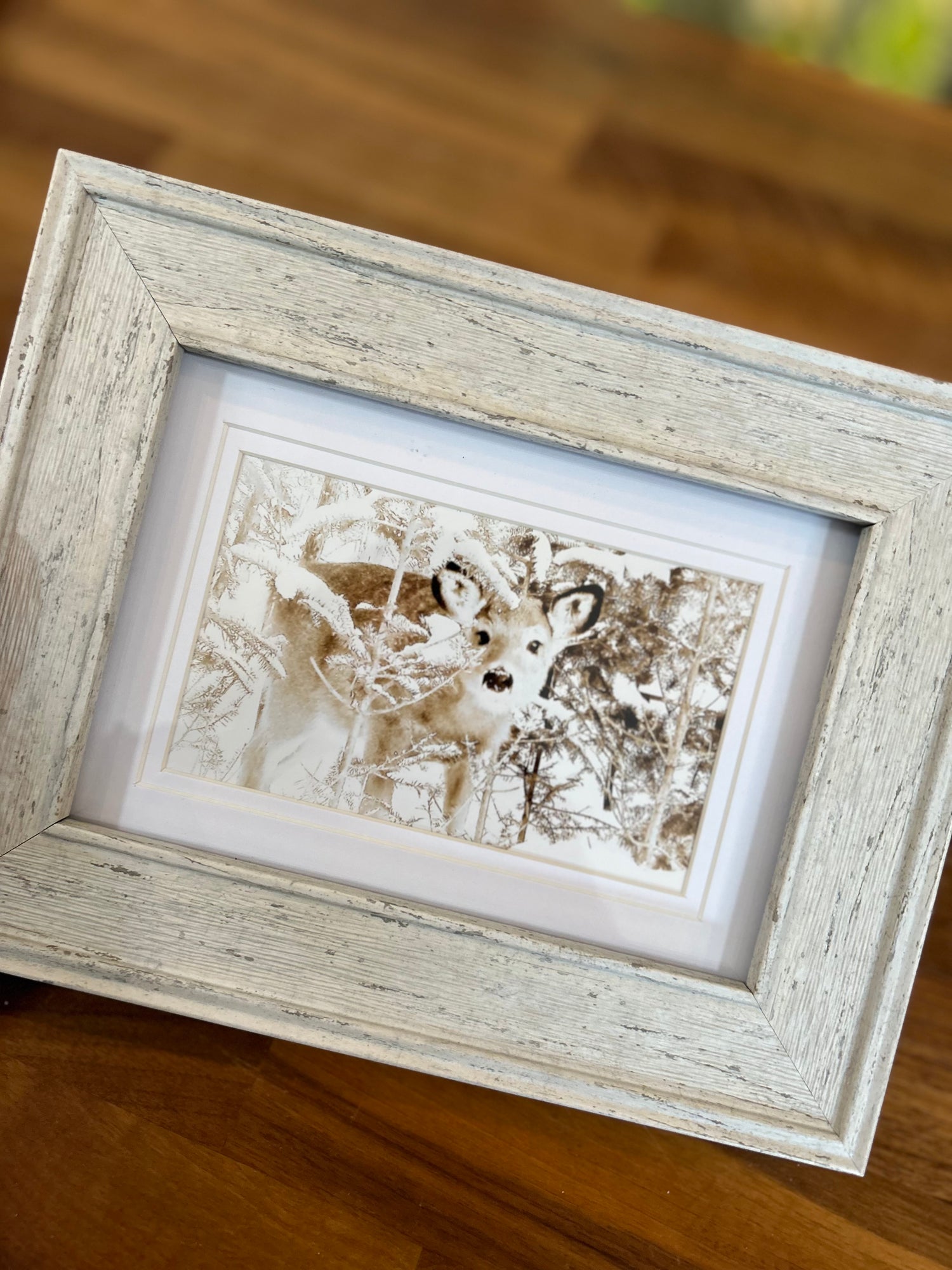 Small Framed Photographs by Patti Parker