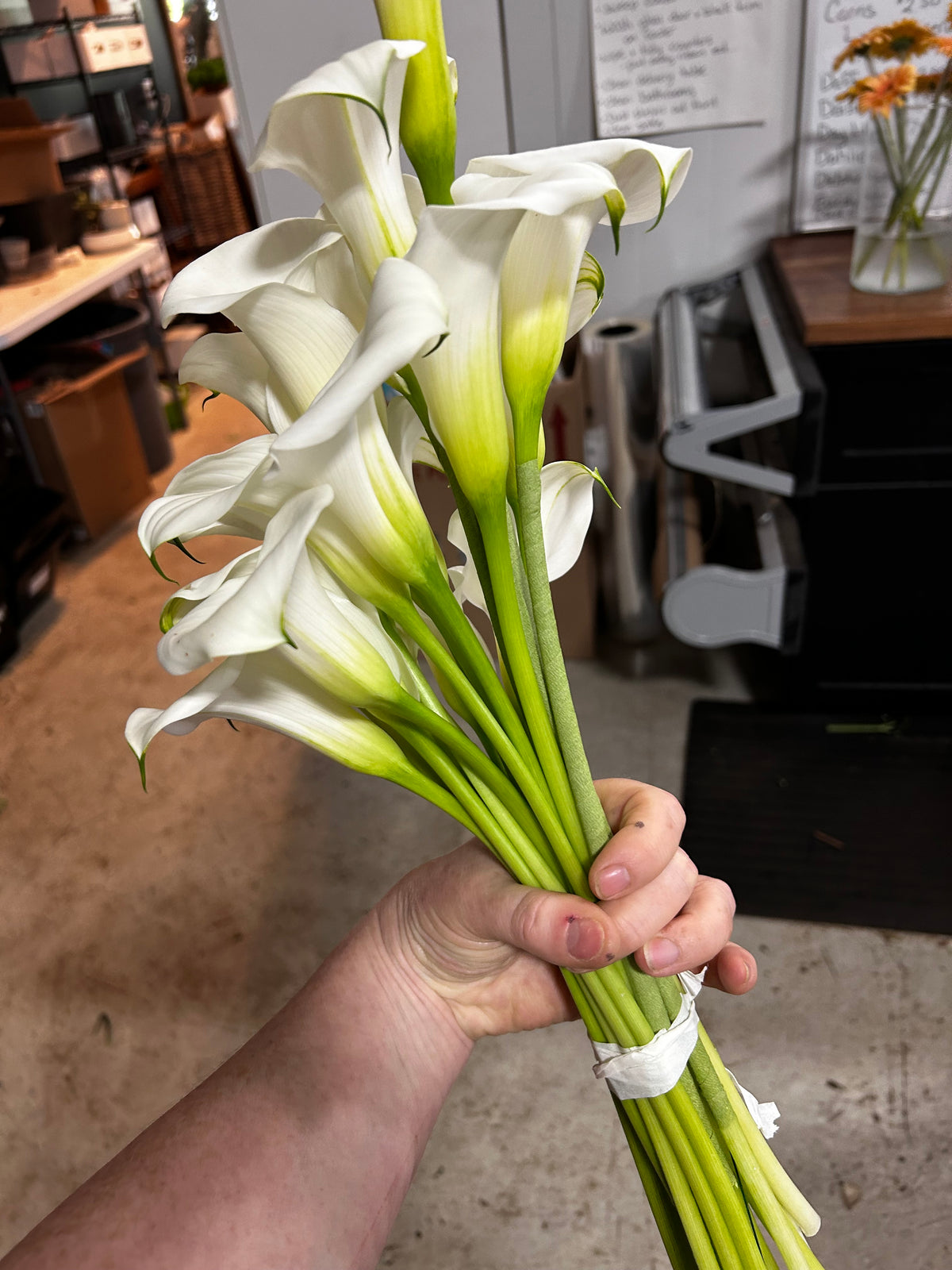 Wedding: Bridal Bouquet