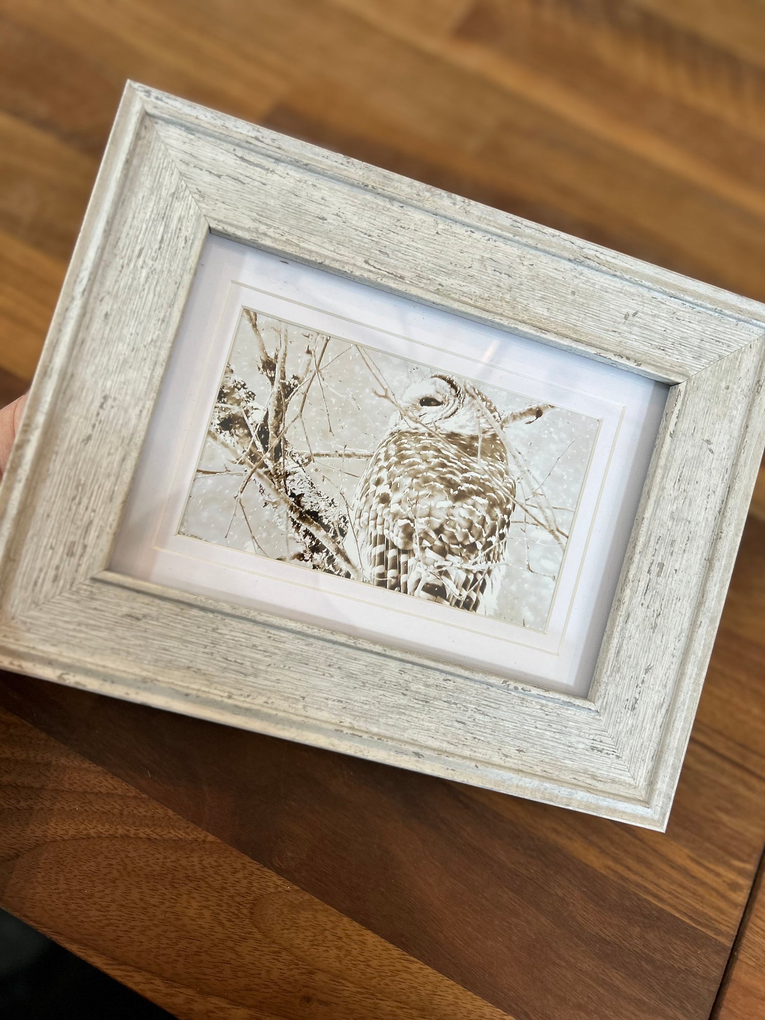 Small Framed Photographs by Patti Parker