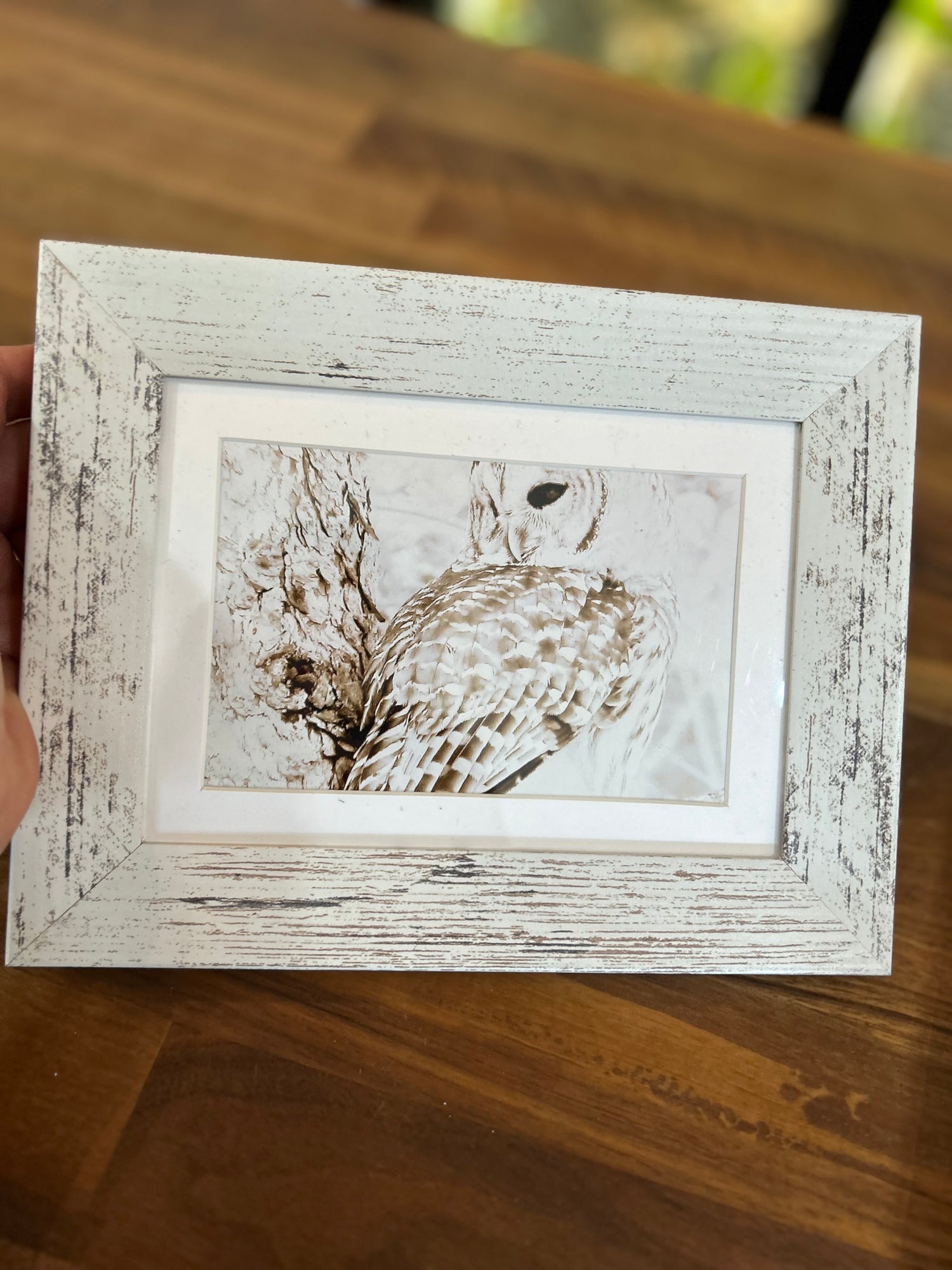 Small Framed Photographs by Patti Parker