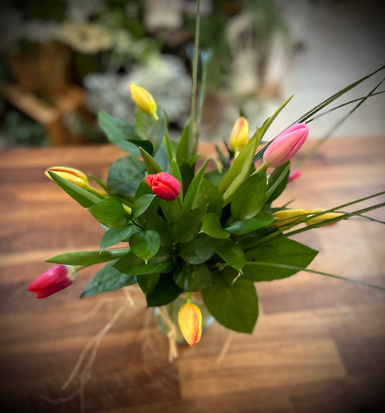 It’s Coming Up Tulips